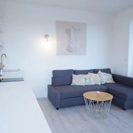 公寓 Top Floor With Terrace 布尔诺